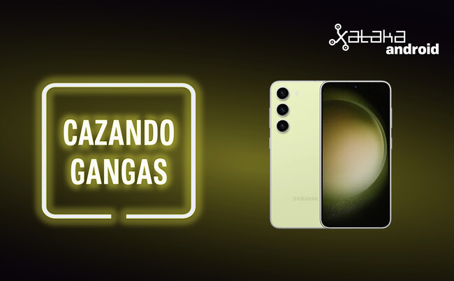 Cazando Gangas