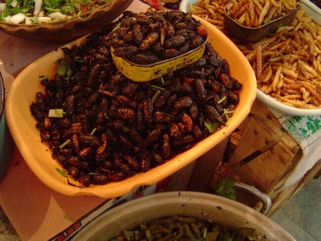 Comida con insectos como tendencia: qué es, cómo se come y qué podemos ...