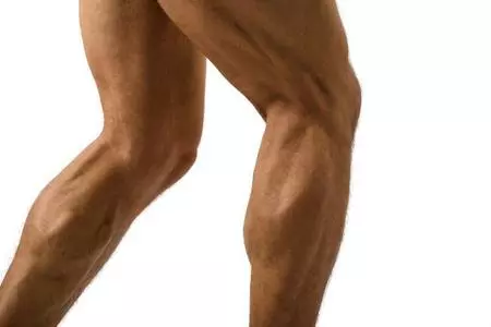 Piernas2