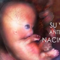 Espectacular vídeo sobre la vida del bebé antes de nacer con imágenes reales