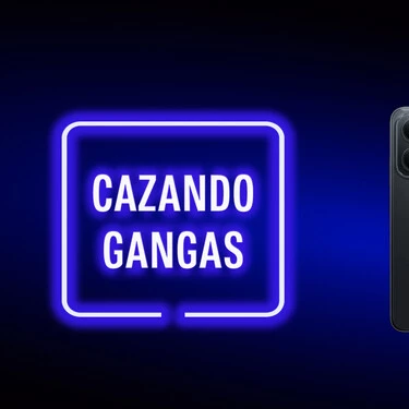 Cazando Gangas