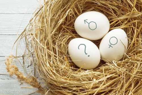 Ni niño ni niña: así crían algunos padres a sus hijos con género neutro