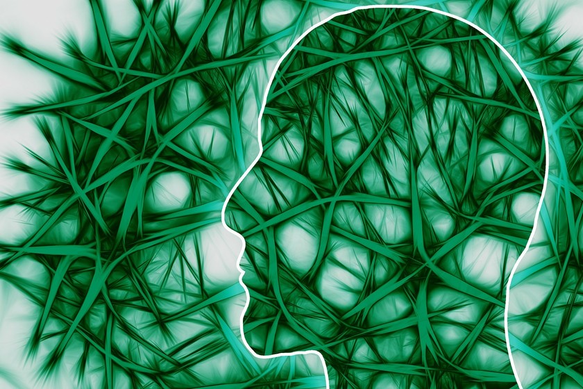 ¿Cuánta información puede llegar a almacenar nuestro cerebro?