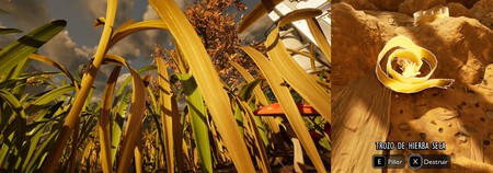 Trozo De Hierba Seca Grounded 2