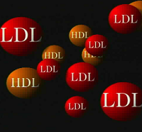 Colesterol en los niños delgados