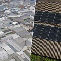 Almería ha sido durante años el gran "mar de plástico" de Europa. Ahora quiere ser otro mar: el de paneles solares