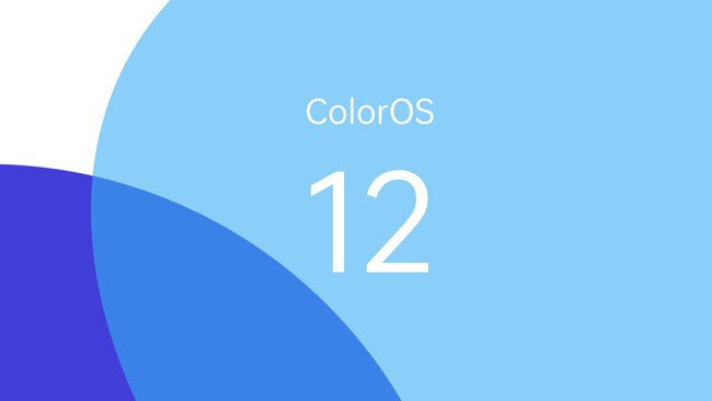 Coloros 12 Portada