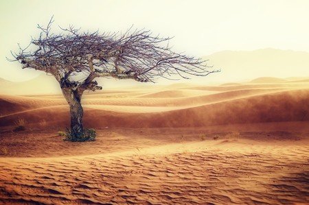 800.000 años de cambio climático en solo 3 minutos