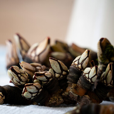 Cómo cocer percebes para que queden perfectos en tus mesas de Navidad