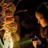 El nuevo capítulo de The Last of Us cambia por completo el apocalipsis: las esporas existen y la supervivencia sube de nivel 