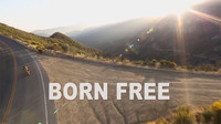 Born Free, o el sueño de una noche de verano
