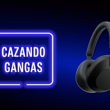 Cazando Gangas