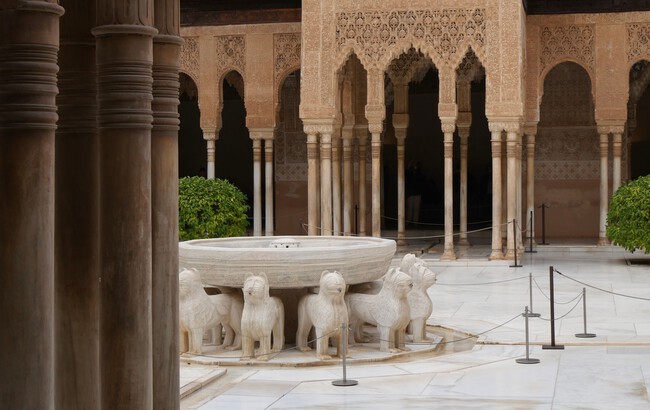 Patio Leones