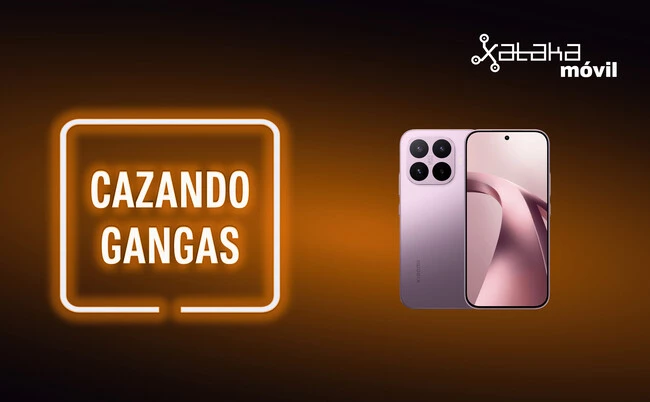 Cazando Gangas