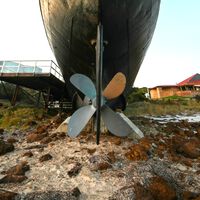 Los barcos llevan cientos de años dañando los océanos con su ruido. Ahora Alemania trabaja en unas hélices silenciosas para solucionarlo