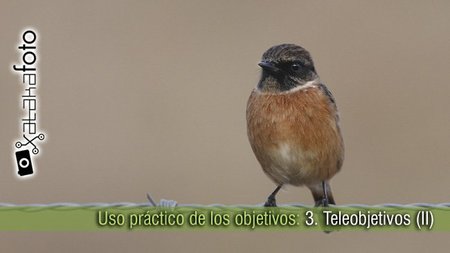 Uso práctico de los objetivos: 3. Teleobjetivos (y II)