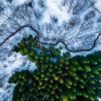 Los drones logran hacer fotografías tan espectaculares como éstas 