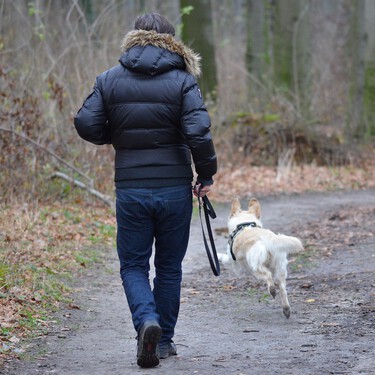 ¿Qué es mejor, correa corta o correa larga? Descubre cuándo elegir cada una para pasear a un perro 