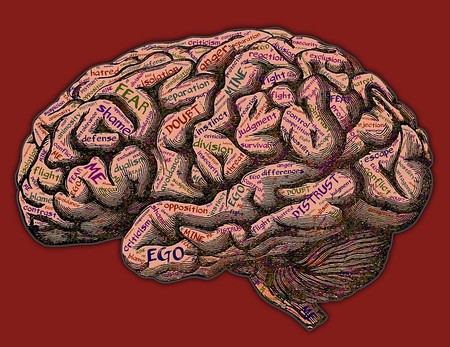 ¿Cómo va a funcionar tu empresa si tu palabra favorita es yoísmo?