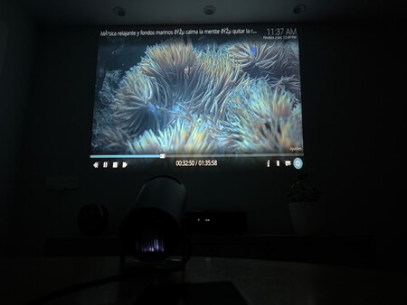 Proyector 8