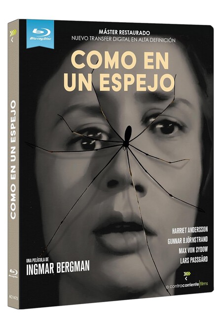 Como un espejo