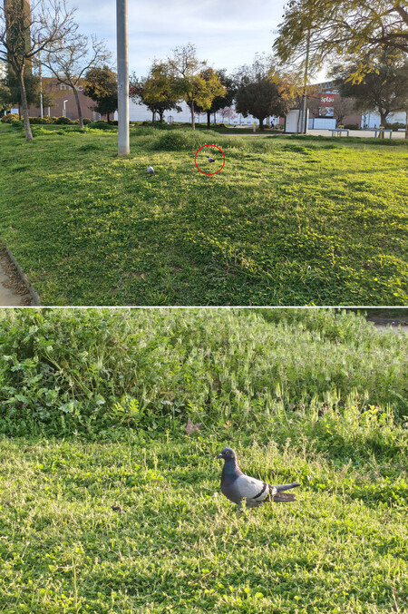 Ejempo de zoom en el Nothing Phone 4a Pro