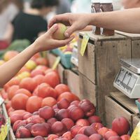 IVA soportado versus IVA repercutido: cómo aplicarlos y utilizarlos correctamente