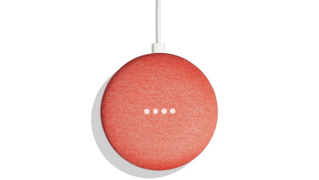 Home Mini