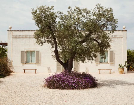 Descubrimos con Zara Home nuevas ideas para el jardín y el interior, con el encanto de la región de Puglia en Italia