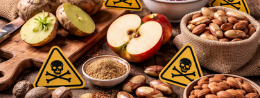 Você ingere veneno quase todo dia e não sabe: esses são os 6 alimentos que possuem substâncias altamente tóxicas — a última vai te surpreender 