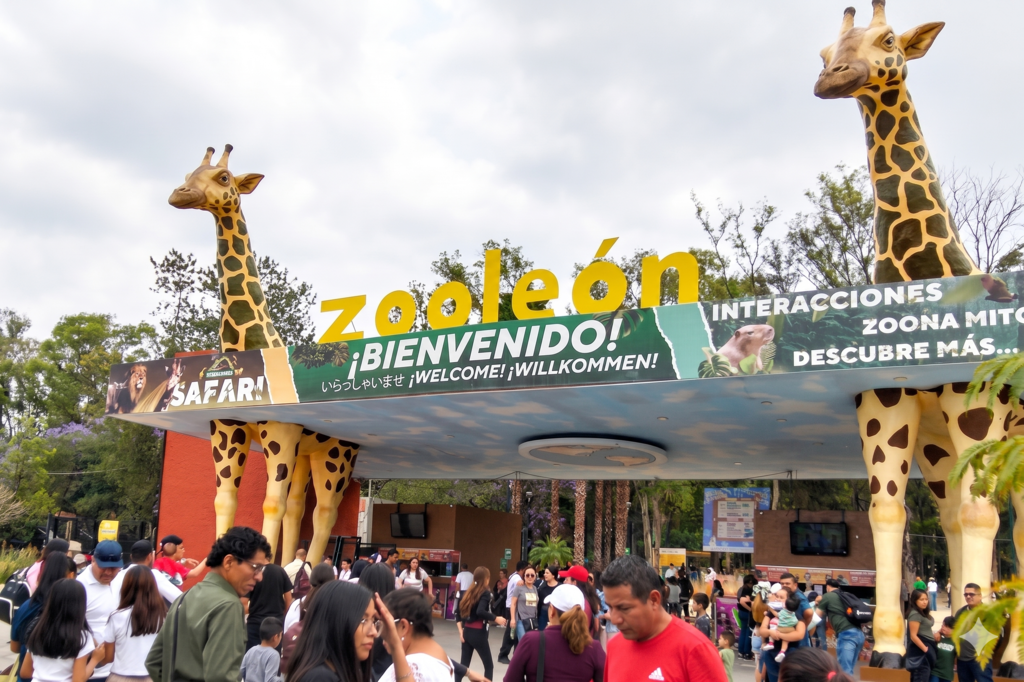 Un zoológico en México fue denunciado por maltrato tras la muerte de 98 animales. Cerró "hasta nuevo aviso" 