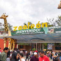 Un zoológico en México fue denunciado por maltrato tras la muerte de 98 animales. Cerró "hasta nuevo aviso" 