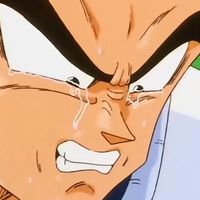 Se descubrió que este es uno de los capítulos mejor puntuados de Dragon Ball: nos hizo llorar a todos y Vegeta es el protagonista 