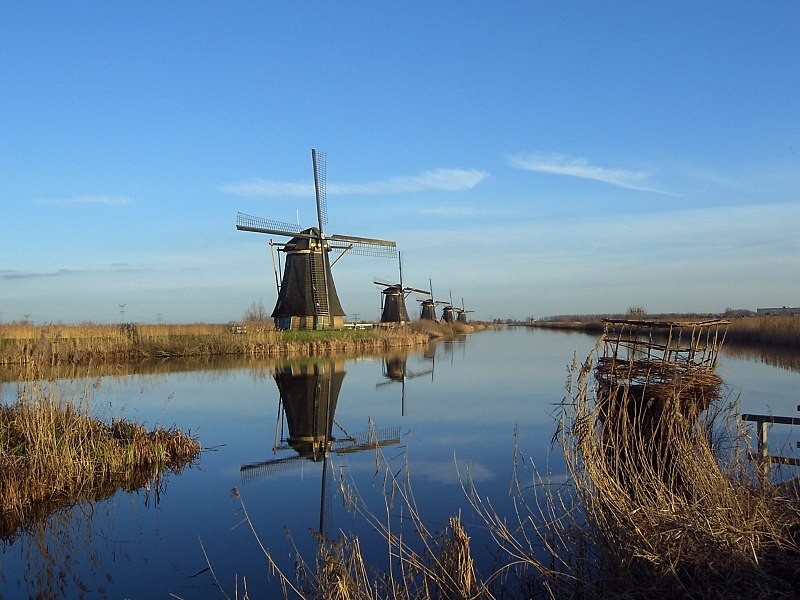 Ésta es la mayor isla artificial del mundo y está en los Países Bajos