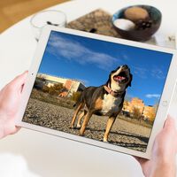 Los mejores ajustes para convertir un viejo iPad en un marco digital sin gastar un solo euro 