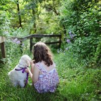 Tener un perro en casa y mantener una relación cercana a él es beneficioso para tus hijos