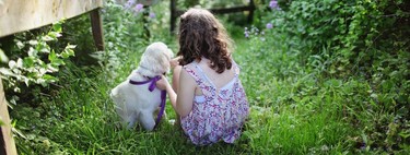 Tener un perro en casa y mantener una relación cercana a él es beneficioso para tus hijos