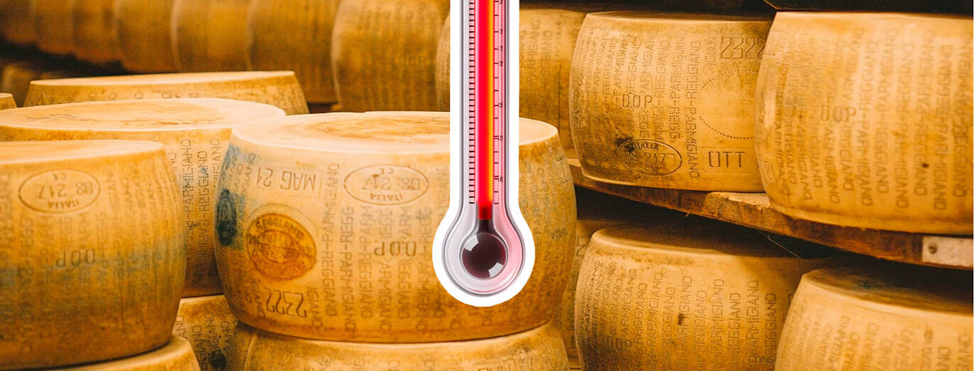 "No queremos ser la última generación en comerlo": el calor extremo ha puesto en peligro de extinción al queso parmesano