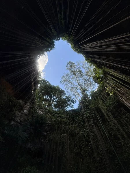 対照的な光の条件下で iPhone 16 で撮影した写真。