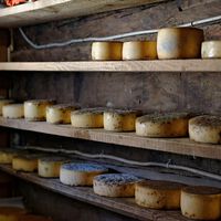 La idea de que "toda grasa saturada es mala" está perdiendo fuerza. Y hay un beneficiado: el queso curado