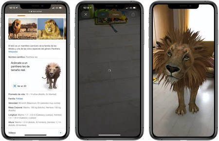 3D動物GoogleiPhone