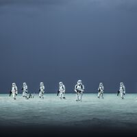 Un nombre mal escrito en un vaso de café dio pie a algo fascinante: un nuevo planeta de Star Wars 