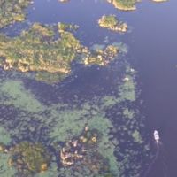 Volando sobre los Esteros del Iberá