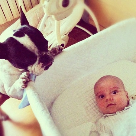 Adivina quién... es el papá del bebé y dueño del perro de la foto