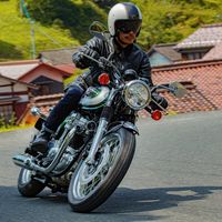 La nueva Kawasaki W800 se une a la familia de motos clásicas para el A2, desde 10.350 euros