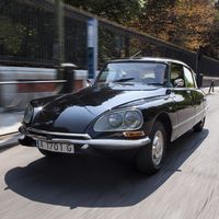 Regalos de Navidad: un paseo en DS Tiburón para conocer la ciudad