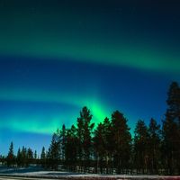 Alquila un finlandés y contágiate de su alegria de vivir