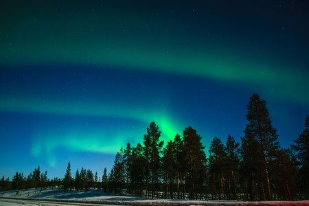 Alquila un finlandés y contágiate de su alegria de vivir
