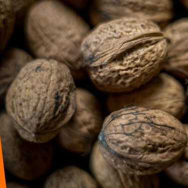 No te pierdas el Festival de la Nuez de Castilla 2025: el lugar ideal para conseguir el ingrediente estrella del chile en nogada