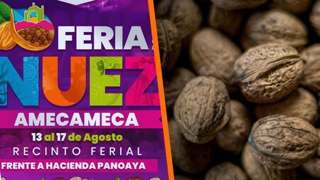 No te pierdas el Festival de la Nuez de Castilla 2025: el lugar ideal para conseguir el ingrediente estrella del chile en nogada